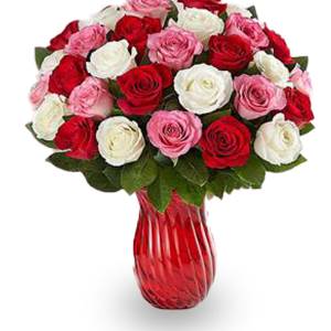 Bestofthebunch bestofthebunch